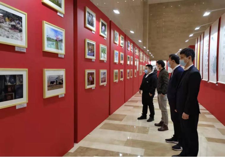 川發(fā)資管組織參觀“說(shuō)廉、倡廉、行廉” 文化作品展覽